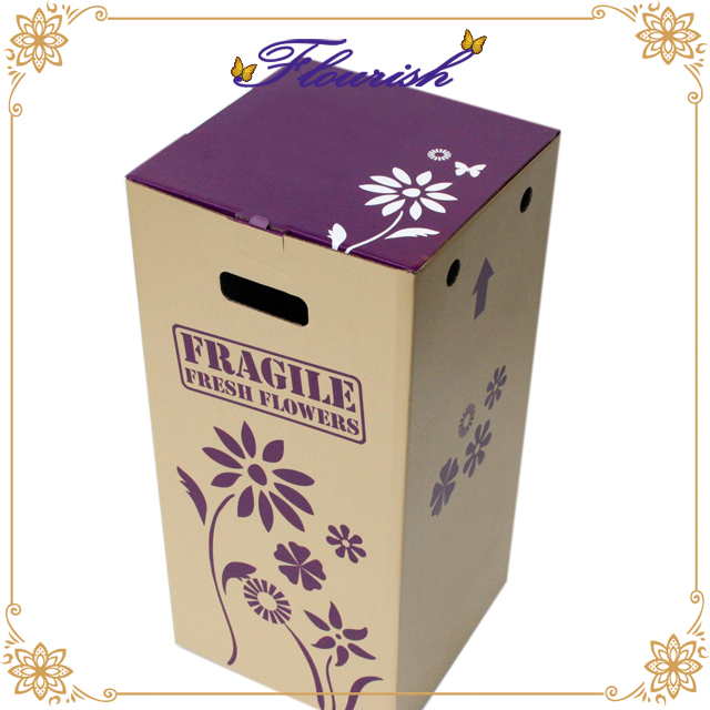 Plain Brown Color Rectangle Starre Karton Sonnenbrille Watercup Verpackungsbox