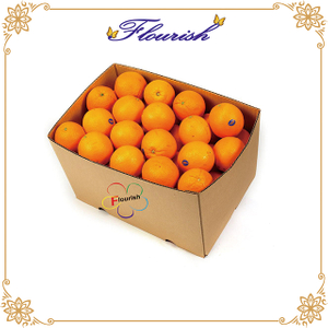 Wellpappe Orangen Gemüse Verpackung Papierbox